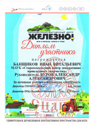 Участие в фестивале "ЖЕЛЕЗНО!"